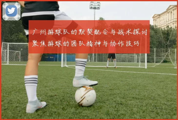 广州排球队的默契配合与战术探讨聚焦排球的团队精神与协作技巧