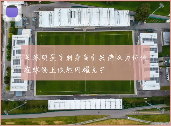 足球明星亨利身高引发热议为何他在球场上依然闪耀光芒