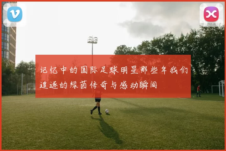记忆中的国际足球明星那些年我们追逐的绿茵传奇与感动瞬间