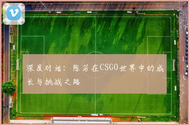 深度对话：陈芳在CSGO世界中的成长与挑战之路