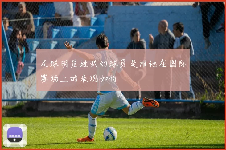 足球明星姓武的球员是谁他在国际赛场上的表现如何