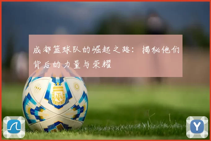 成都篮球队的崛起之路：揭秘他们背后的力量与荣耀