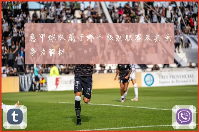 意甲球队属于哪个级别联赛及其竞争力解析