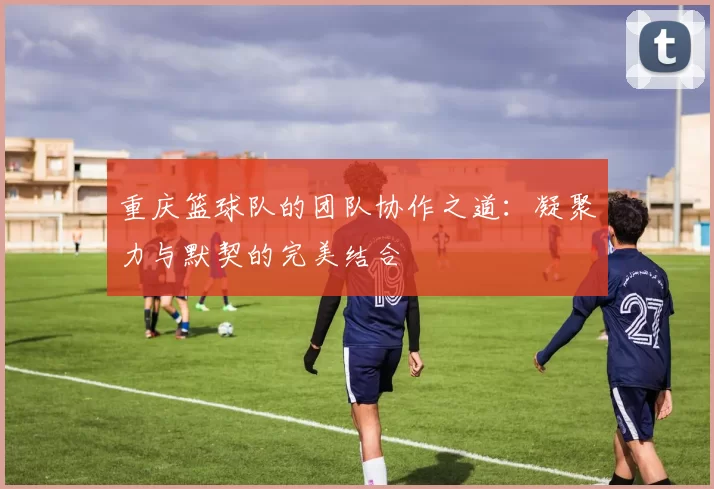 重庆篮球队的团队协作之道：凝聚力与默契的完美结合