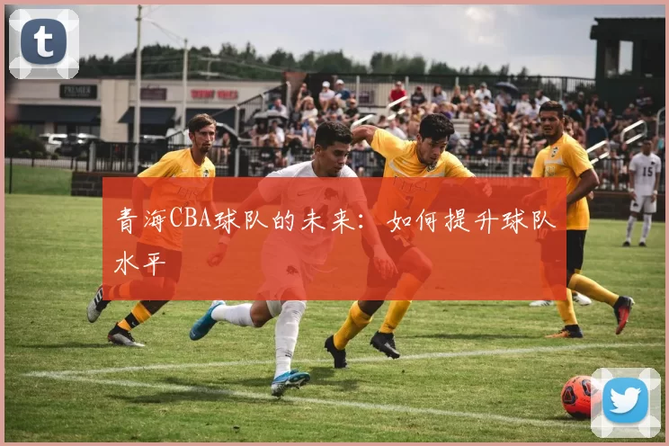 青海CBA球队的未来：如何提升球队水平