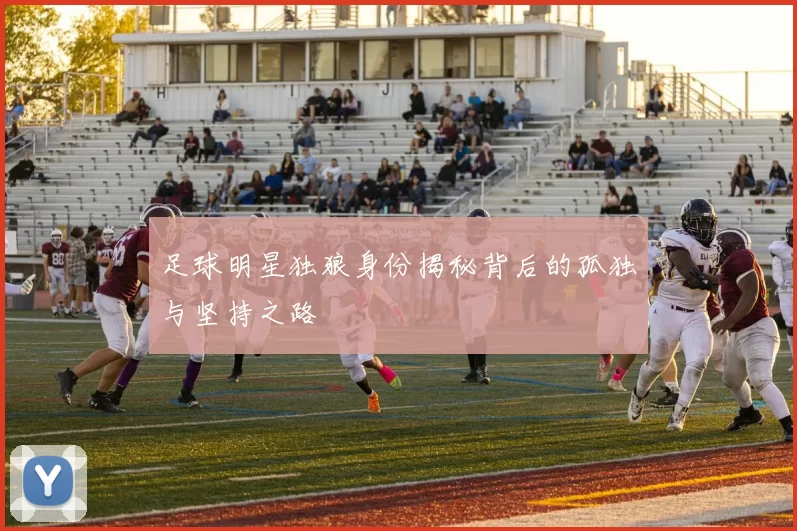 足球明星独狼身份揭秘背后的孤独与坚持之路