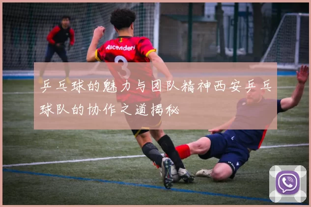 乒乓球的魅力与团队精神西安乒乓球队的协作之道揭秘